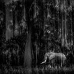 Indian Woman Sudha Shakywar Crowned Mrs. Tourism Ambassador for Education 2025 in Dubai — Promoting Unity Through Learning and Travel